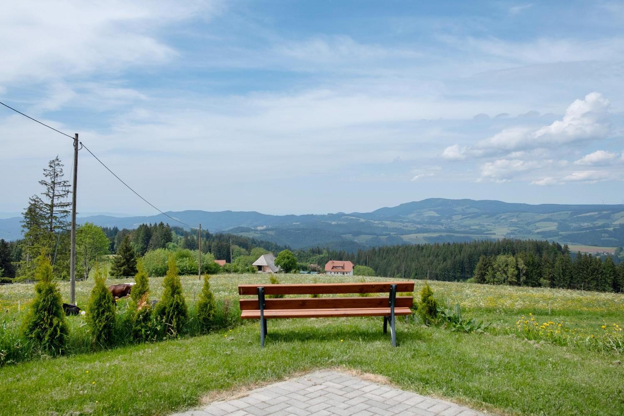 Baeuerleshuette Apartman Breitnau Kültér fotó