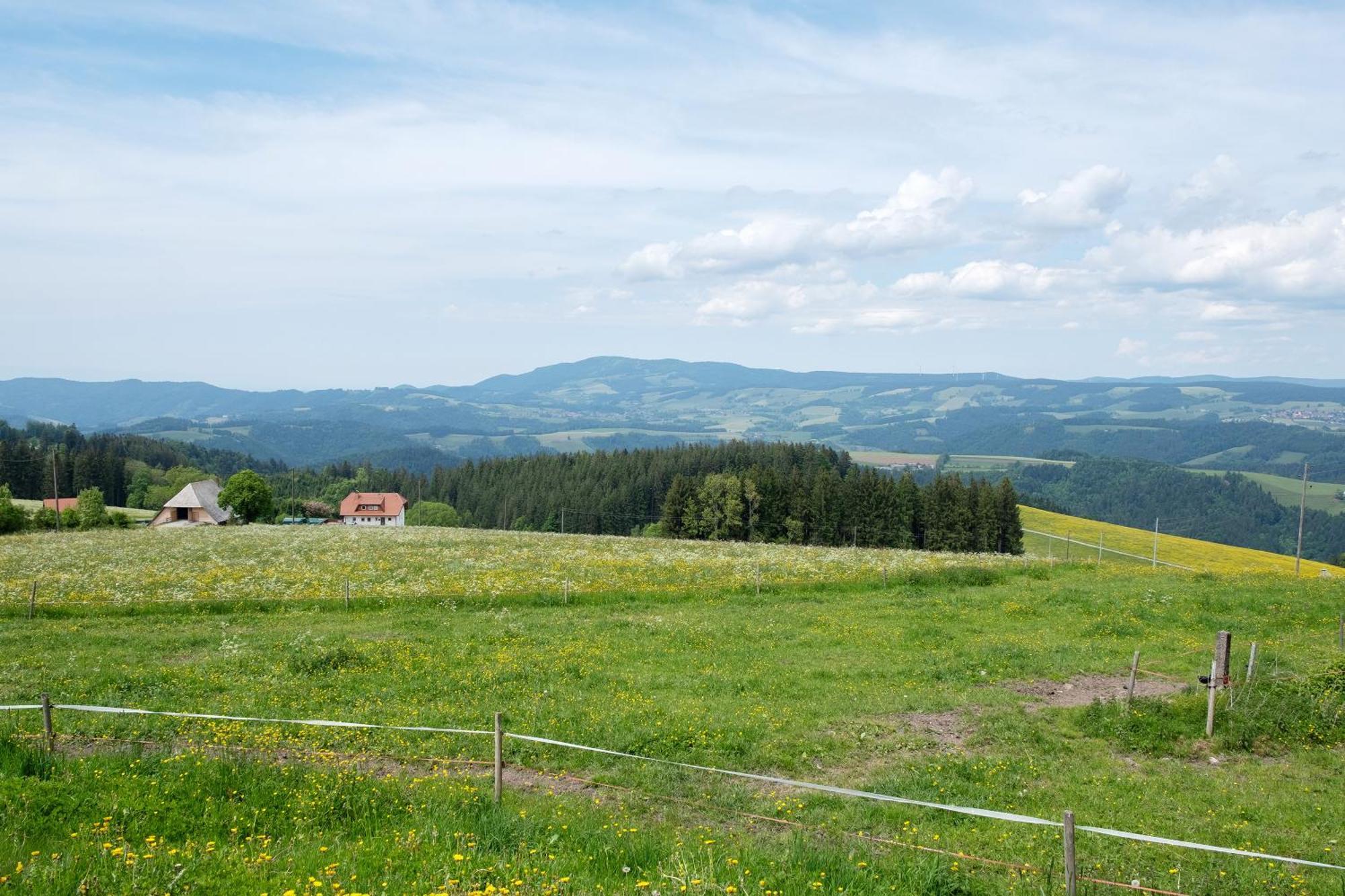 Baeuerleshuette Apartman Breitnau Kültér fotó